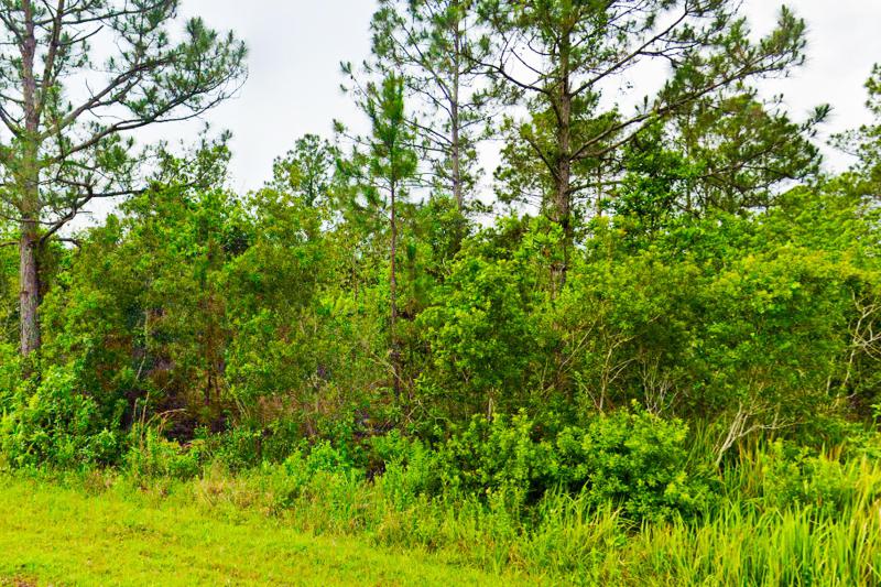  Commercial & Industrial Land Images 