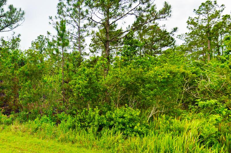  Commercial & Industrial Land Images 