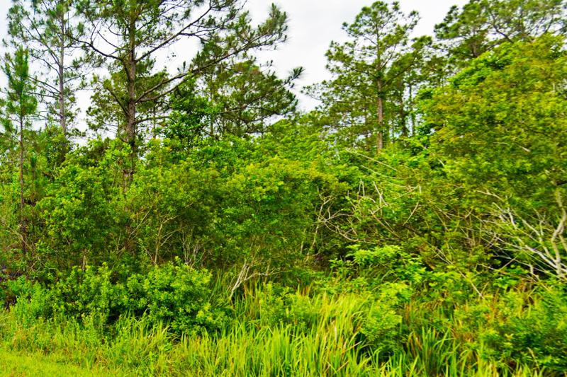  Commercial & Industrial Land Images 
