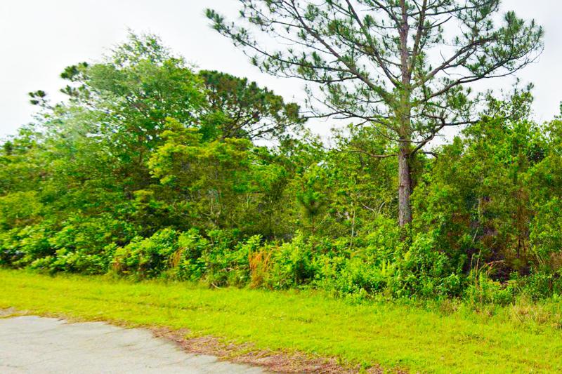  Commercial & Industrial Land Images 