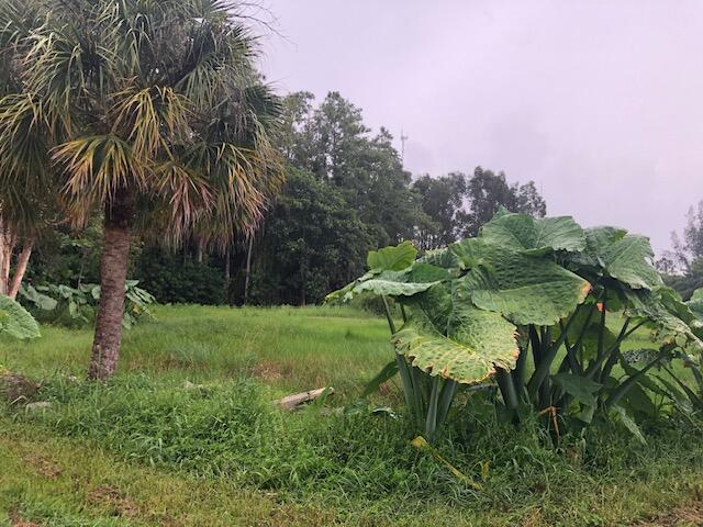  Commercial & Industrial Land Images 