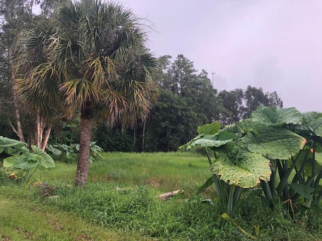  Commercial & Industrial Land Images 