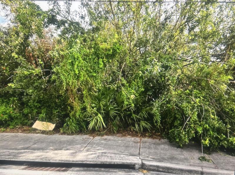 Duplex, Triplex and Fourplex Images