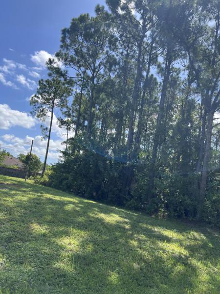 Duplex, Triplex and Fourplex Images