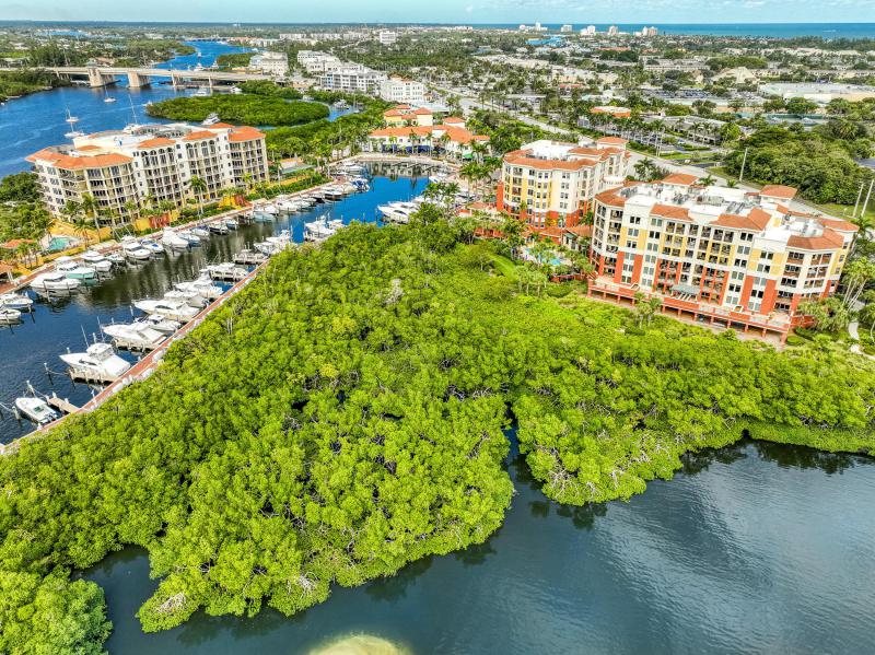 Duplex, Triplex and Fourplex Images