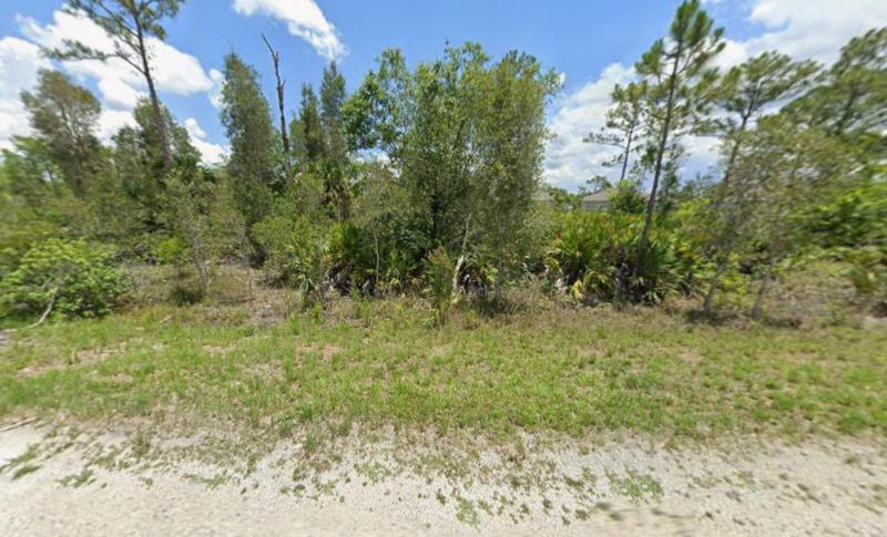 Duplex, Triplex and Fourplex Images