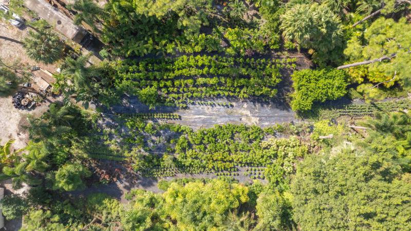  Commercial & Industrial Land Images 