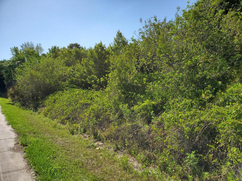 Duplex, Triplex and Fourplex Images