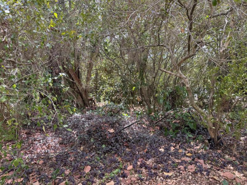  Commercial & Industrial Land Images 