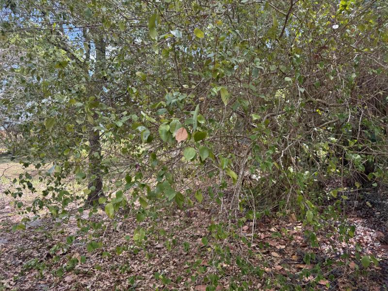  Commercial & Industrial Land Images 