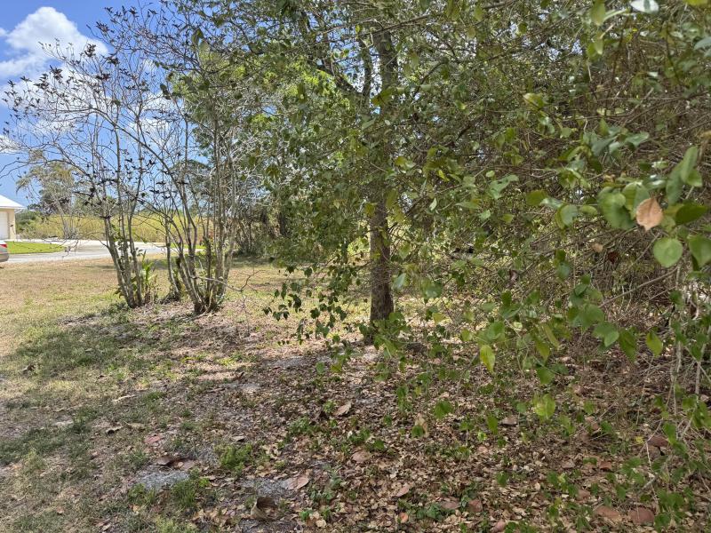  Commercial & Industrial Land Images 