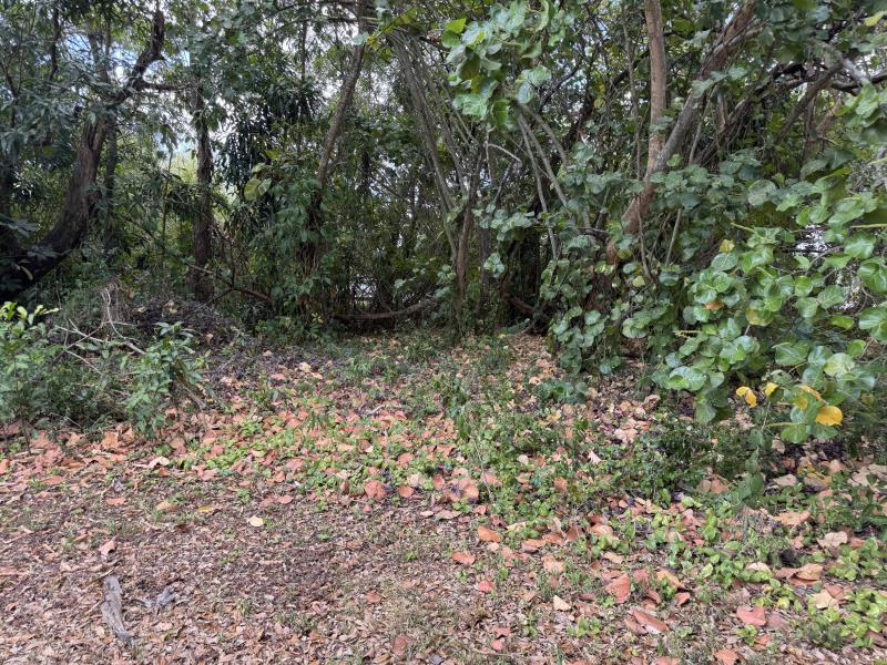  Commercial & Industrial Land Images 