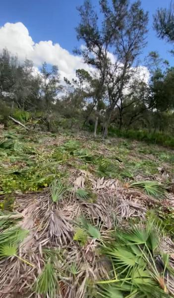 Duplex, Triplex and Fourplex Images