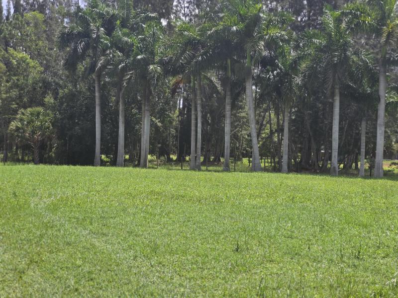  Commercial & Industrial Land Images 