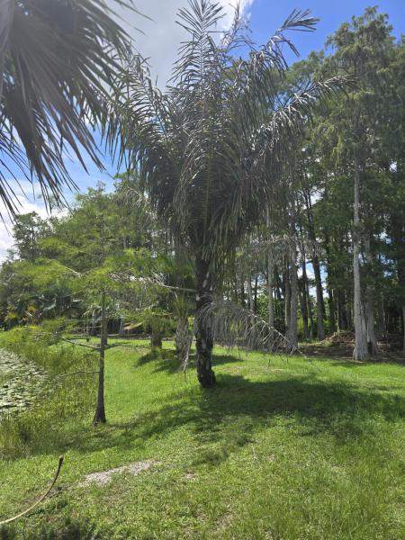  Commercial & Industrial Land Images 