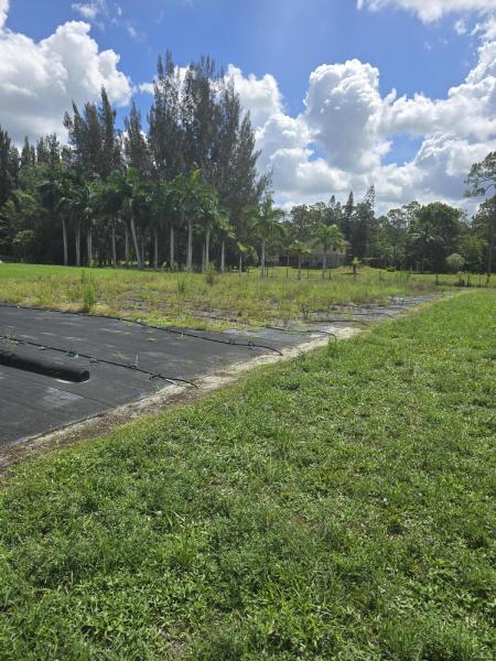  Commercial & Industrial Land Images 