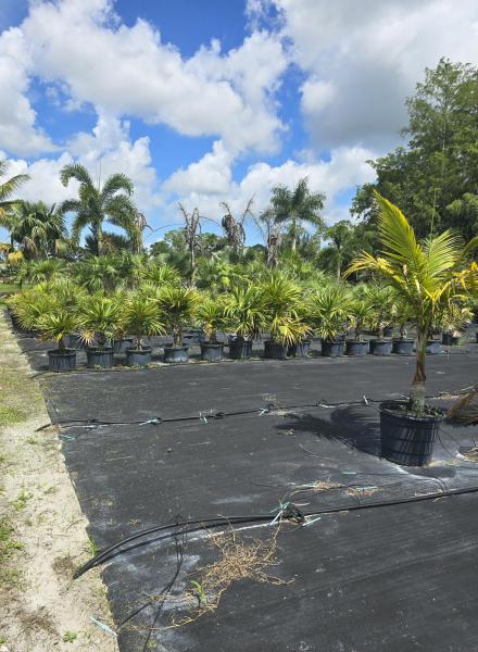  Commercial & Industrial Land Images 