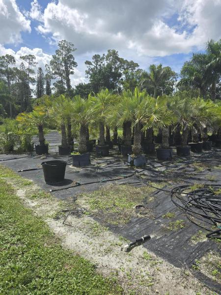  Commercial & Industrial Land Images 