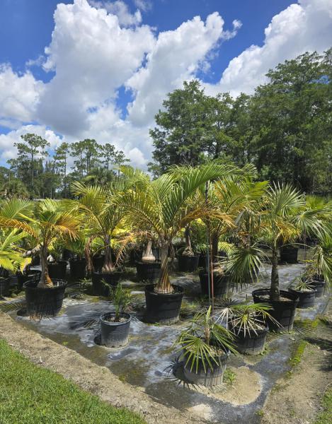  Commercial & Industrial Land Images 