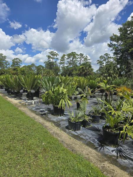  Commercial & Industrial Land Images 