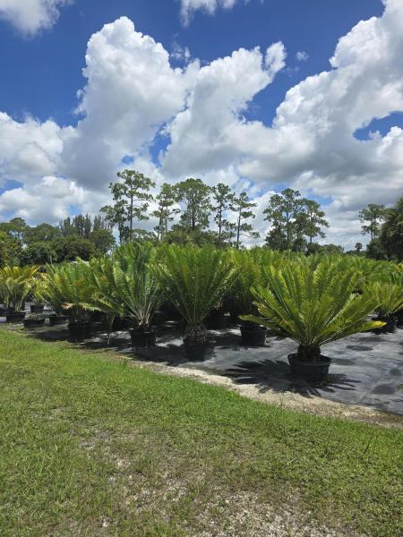  Commercial & Industrial Land Images 