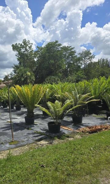  Commercial & Industrial Land Images 