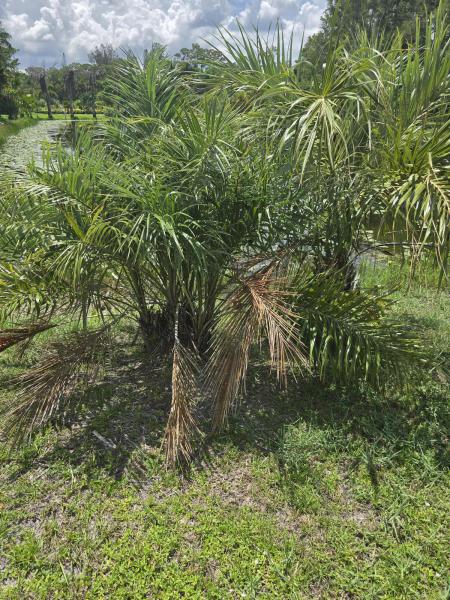  Commercial & Industrial Land Images 