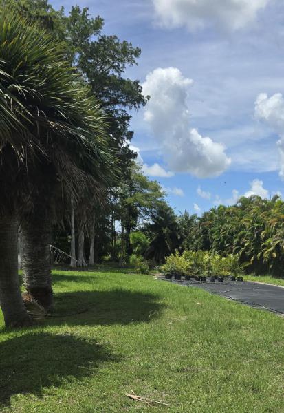  Commercial & Industrial Land Images 