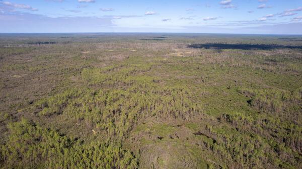 Commercial & Industrial Land Images 