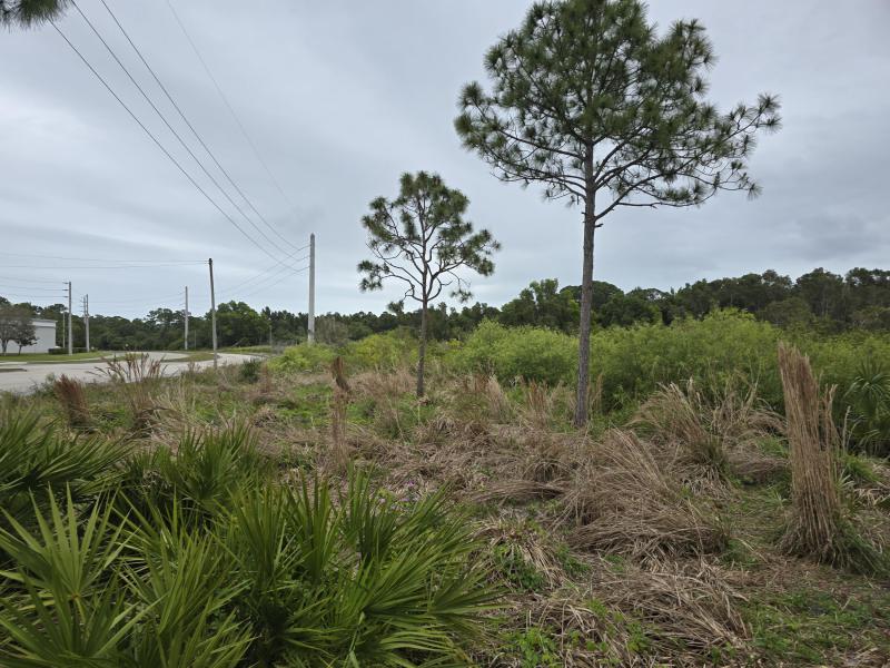  Commercial & Industrial Land Images 