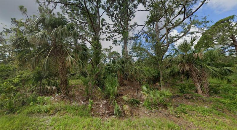 Duplex, Triplex and Fourplex Images