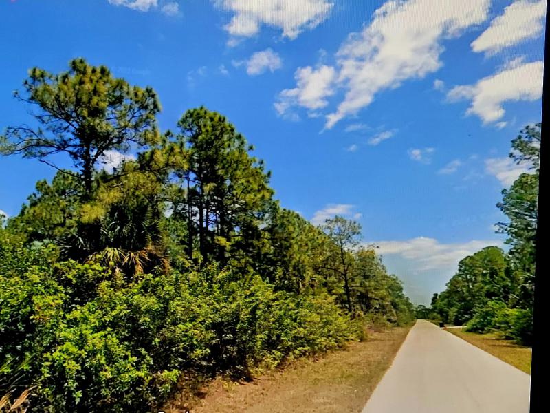 Duplex, Triplex and Fourplex Images