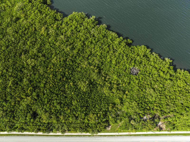 Duplex, Triplex and Fourplex Images