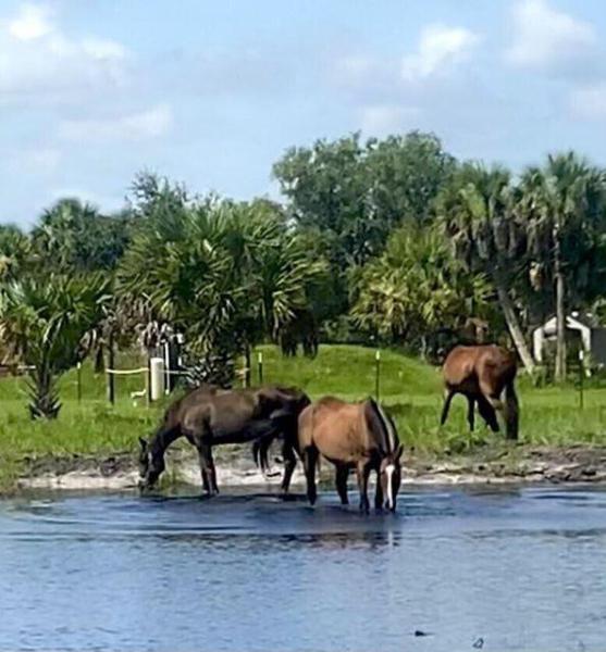  Commercial & Industrial Land Images 