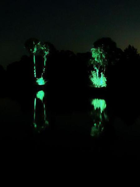  Commercial & Industrial Land Images 