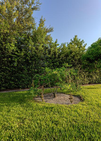  Single Family Homes Photo 92:  Plantation,  FL 33325