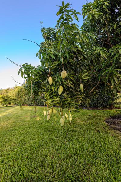  Single Family Homes Photo 94:  Plantation,  FL 33325