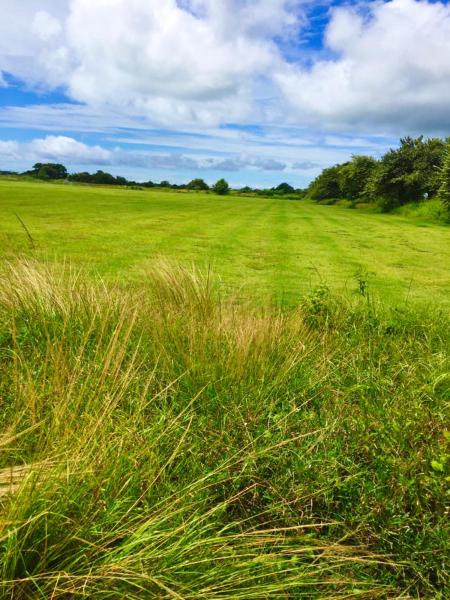  Commercial & Industrial Land Images 