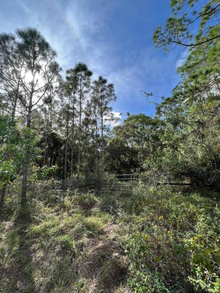  Commercial & Industrial Land Images 