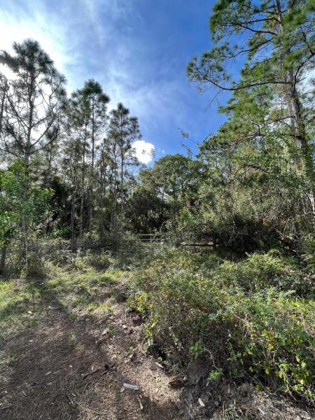  Commercial & Industrial Land Images 