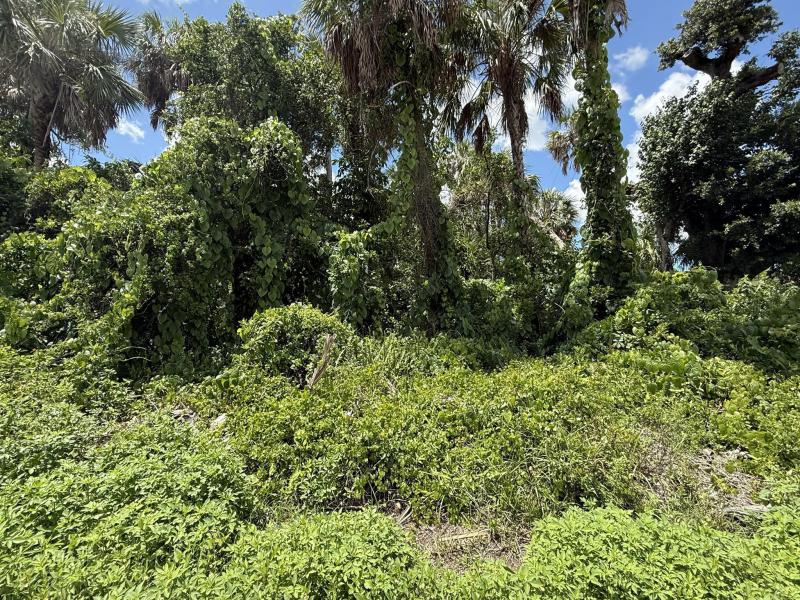 Duplex, Triplex and Fourplex Images