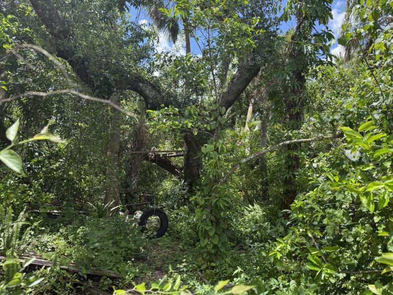 Duplex, Triplex and Fourplex Images