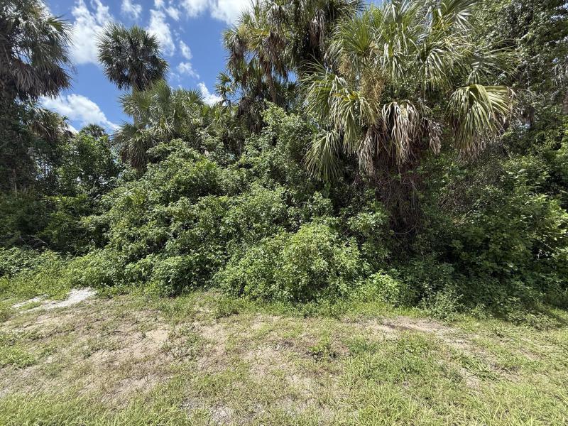 Duplex, Triplex and Fourplex Images