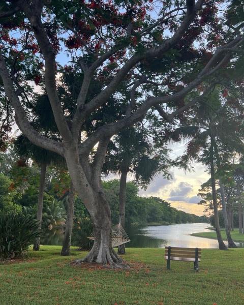  Single Family Homes Photo 7:  Boca Raton,  FL 33496