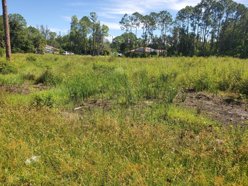 Duplex, Triplex and Fourplex Images