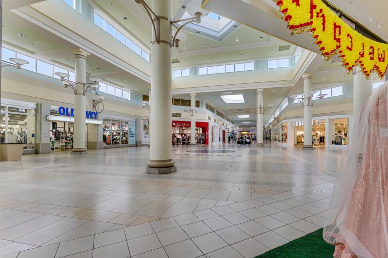 Business Opportunities Photos