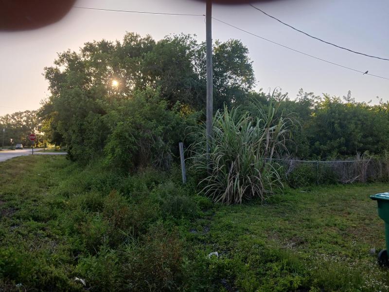 Duplex, Triplex and Fourplex Images