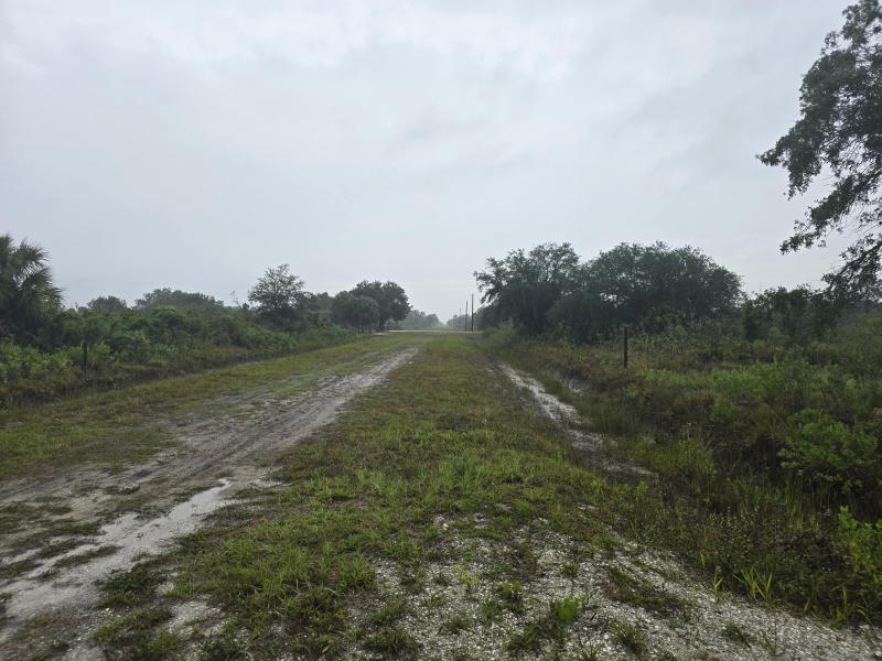 Duplex, Triplex and Fourplex Images