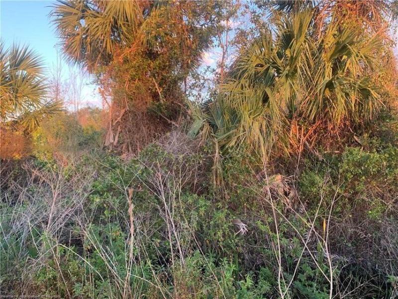  Commercial & Industrial Land Images 