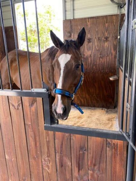  Commercial & Industrial Land Images 